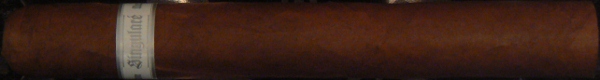 Illusione Singulare 2010 - main.jpg
